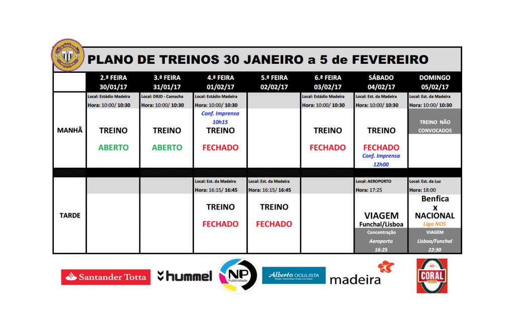 plano ocs