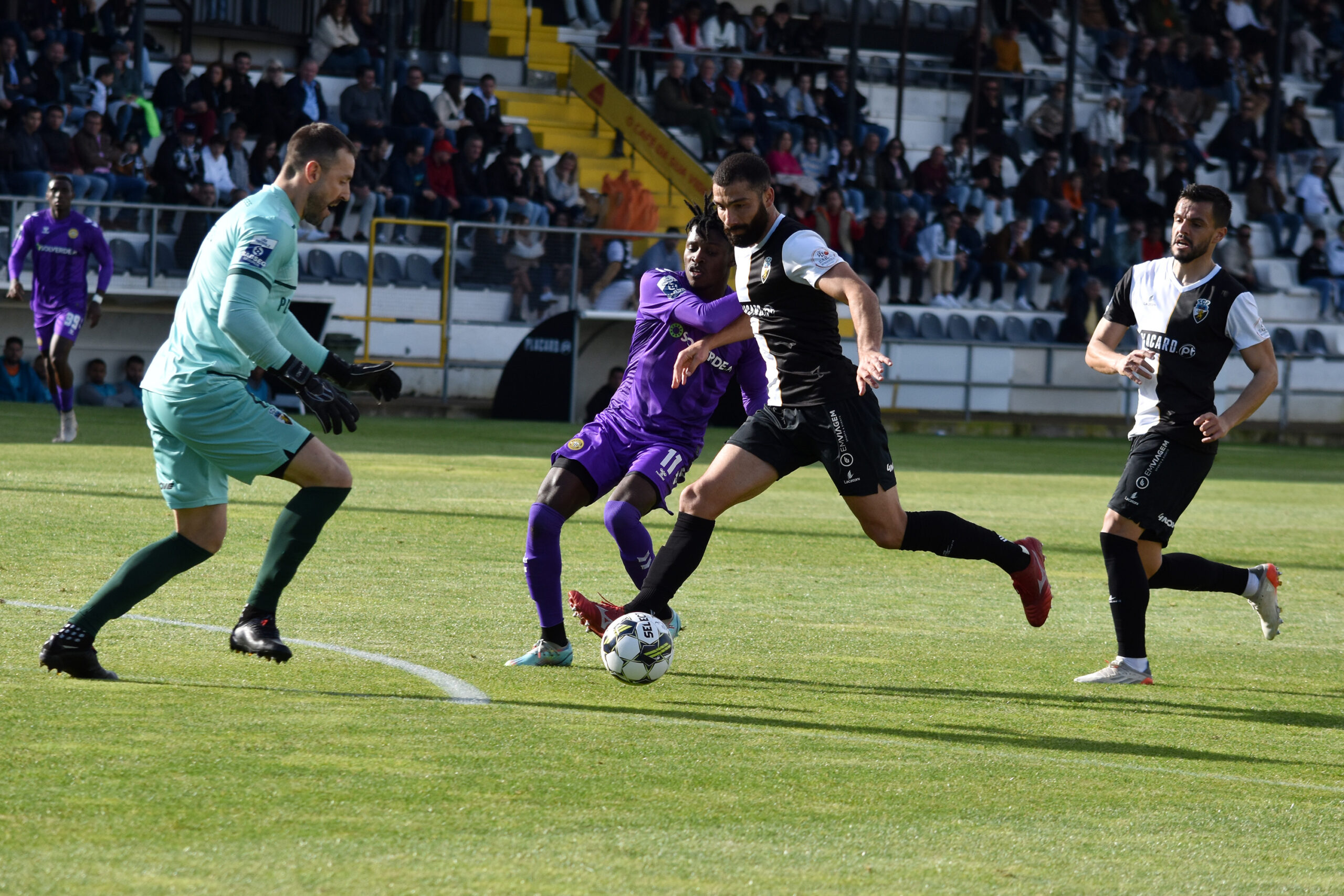 Momentos – Liga Portugal Sabseg: S.C. Farense x C.D. Nacional - Clube  Desportivo Nacional - Madeira