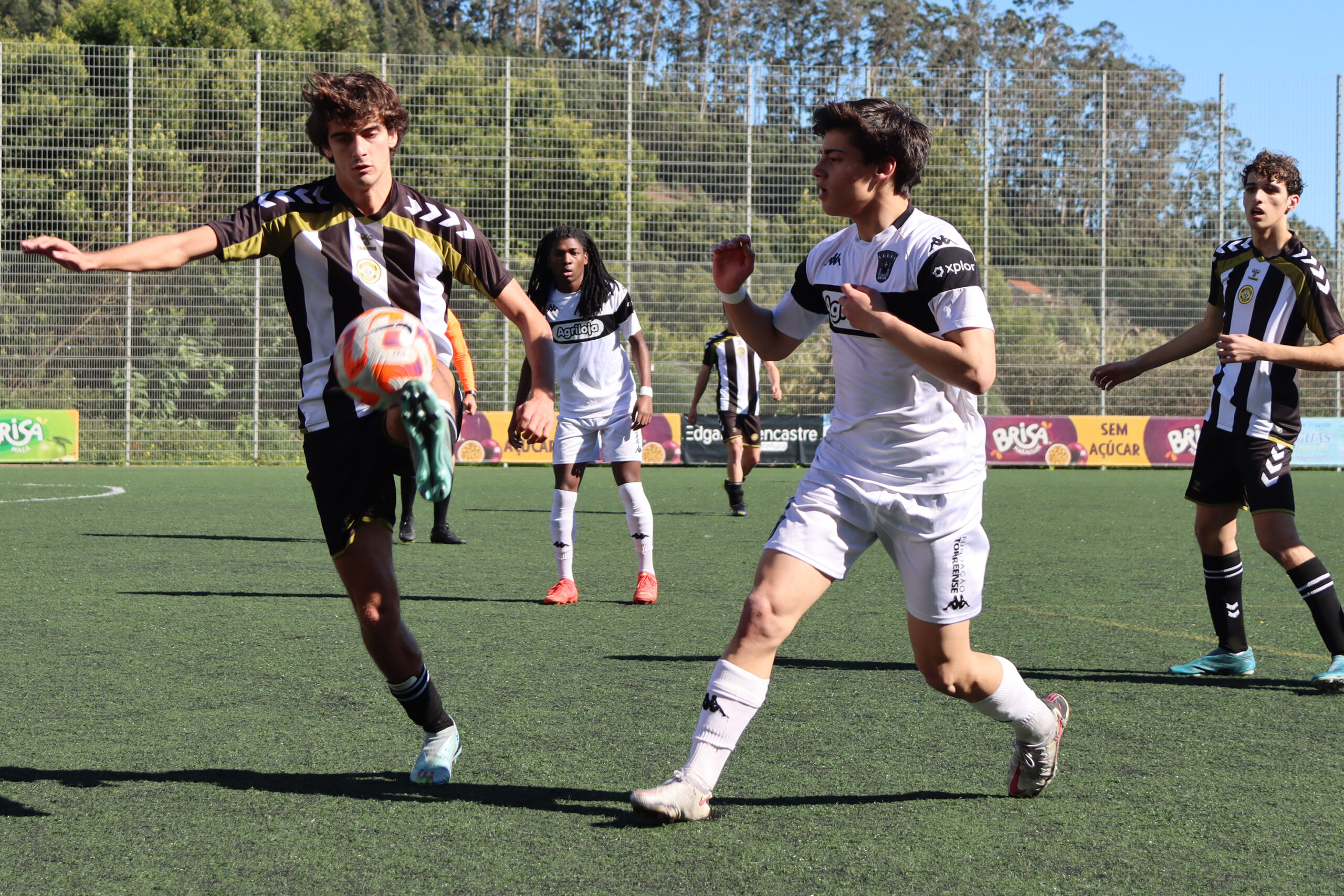 Futebol Seniores Torreense