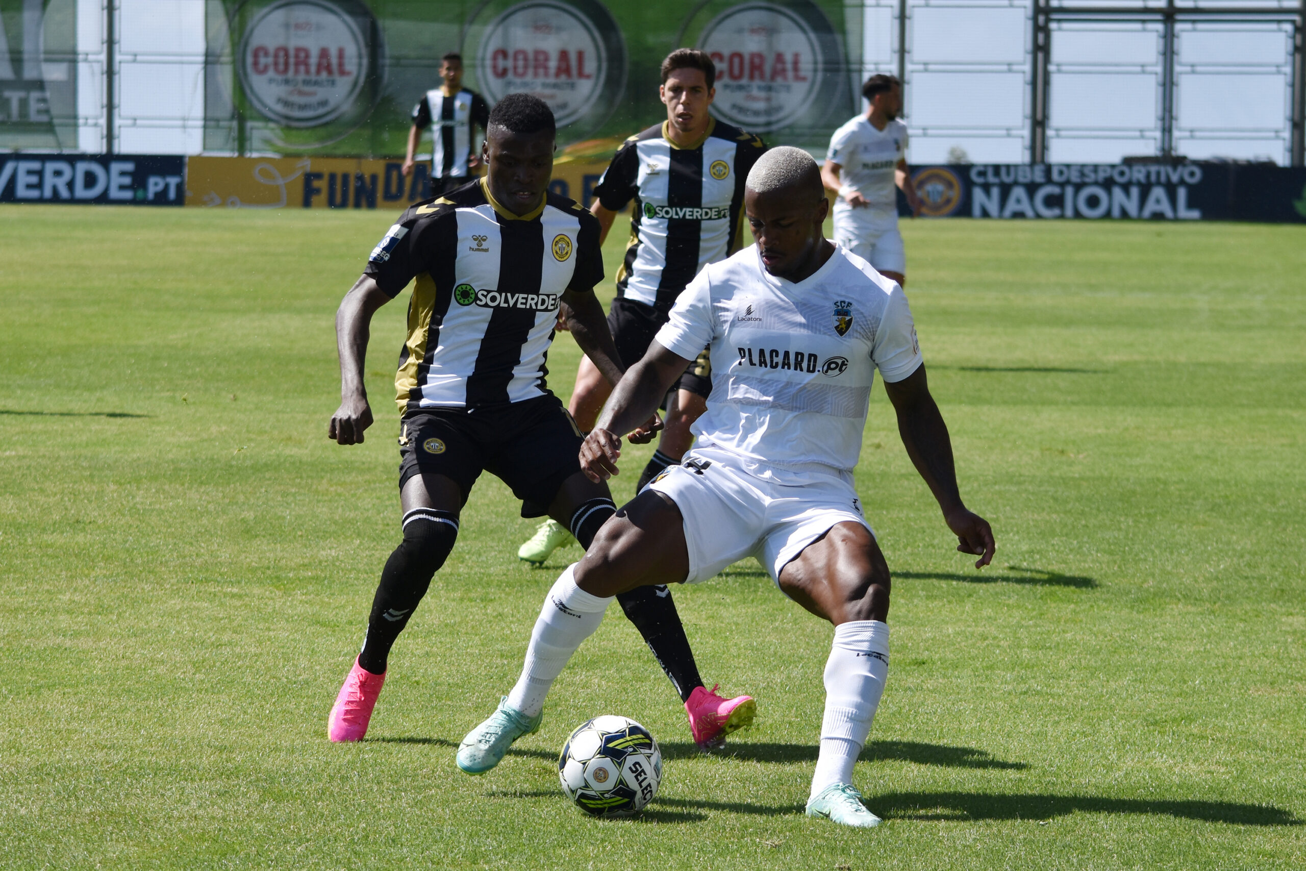 Momentos – Liga Portugal Sabseg: S.C. Farense x C.D. Nacional - Clube  Desportivo Nacional - Madeira