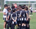 Formação: Agenda do fim-de-semana – 13 e 14 de Junho