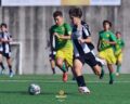 Formação: Iniciados ‘A’ com vitória expressiva na receção à Esfuma