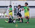 Formação: Iniciados ‘A’ com vitória expressiva na receção à Esfuma
