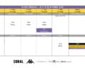Plano de treinos do Futebol Profissional – 12 a 18 de Outubro 2026